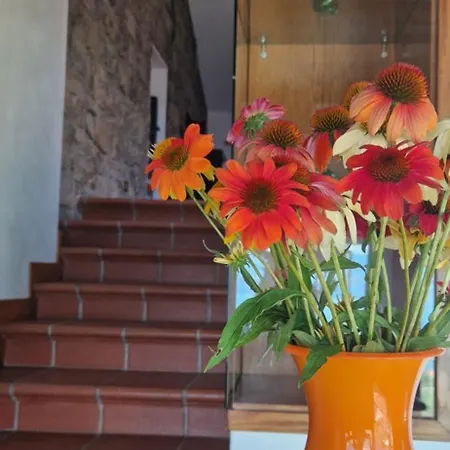 Ferienhaus Corte Furmignano *